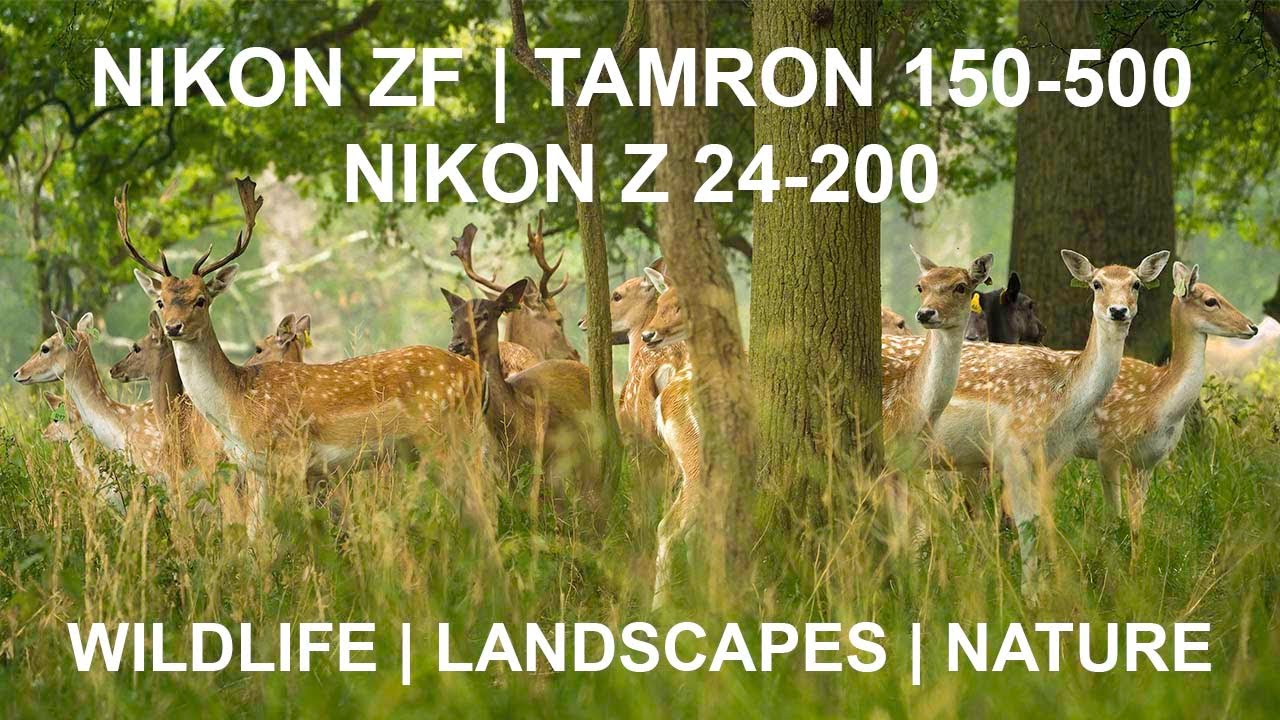 Nikon ZF 10-Bit NLOG - Tamron 150-500 - Z 24-200 - Wildlife & Landscapes