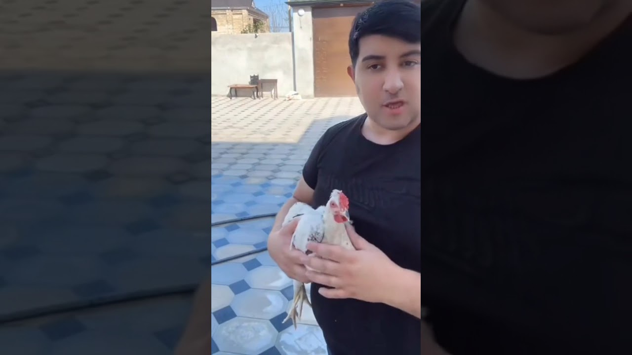 Baboş Tezliklə Ailə Quracaq Ṣok Açıqlama Verdi😱