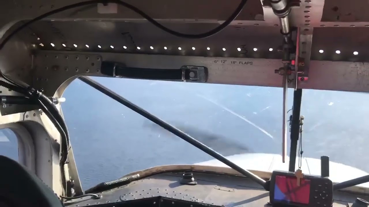 Murphy rebel