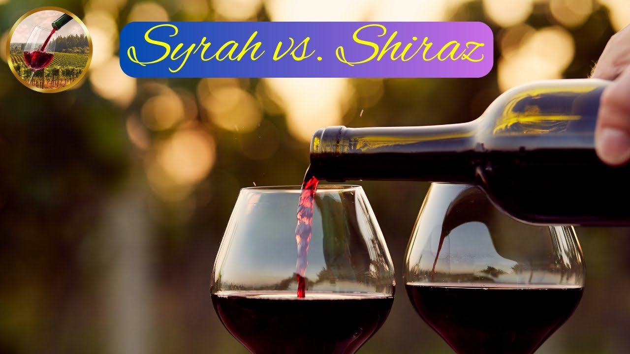 Syrah vs. Shiraz | Unraveling the Grape Mystery | Toast to Wine
