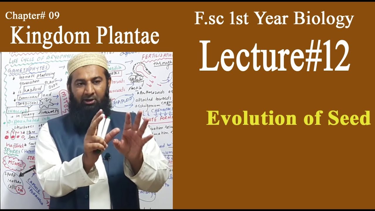 Biology Ch#09-Lecture#12  Evolution of seed   (F.Sc 1st Year)