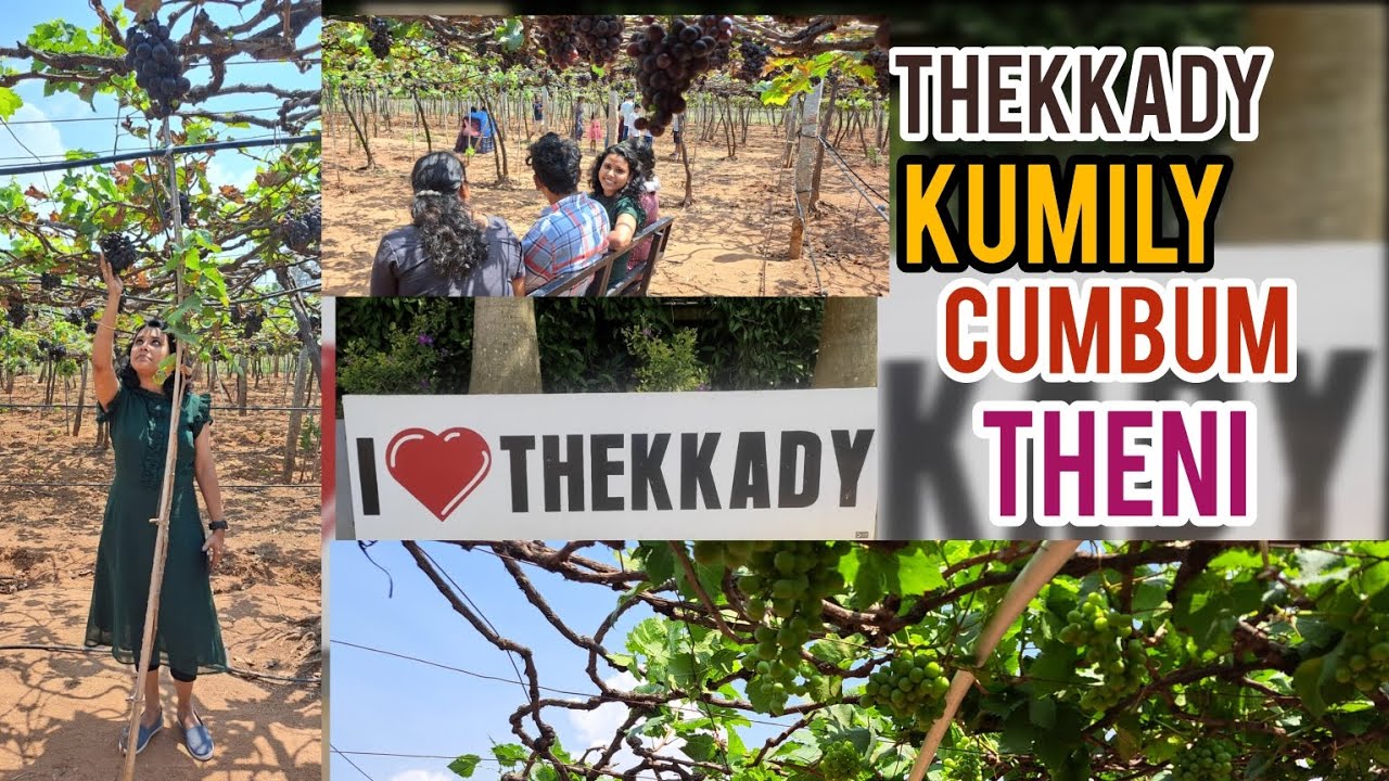 തേക്കടി, കുമിളി, കമ്പം, തേനി ഈ സ്ഥലത്തേക്ക് ഒരു യാത്ര പോയാലോ???