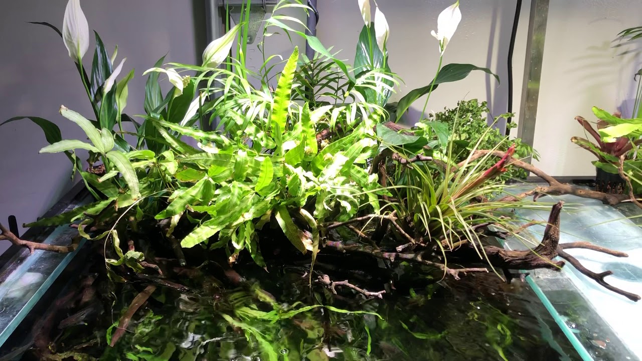 Riparium portion 150