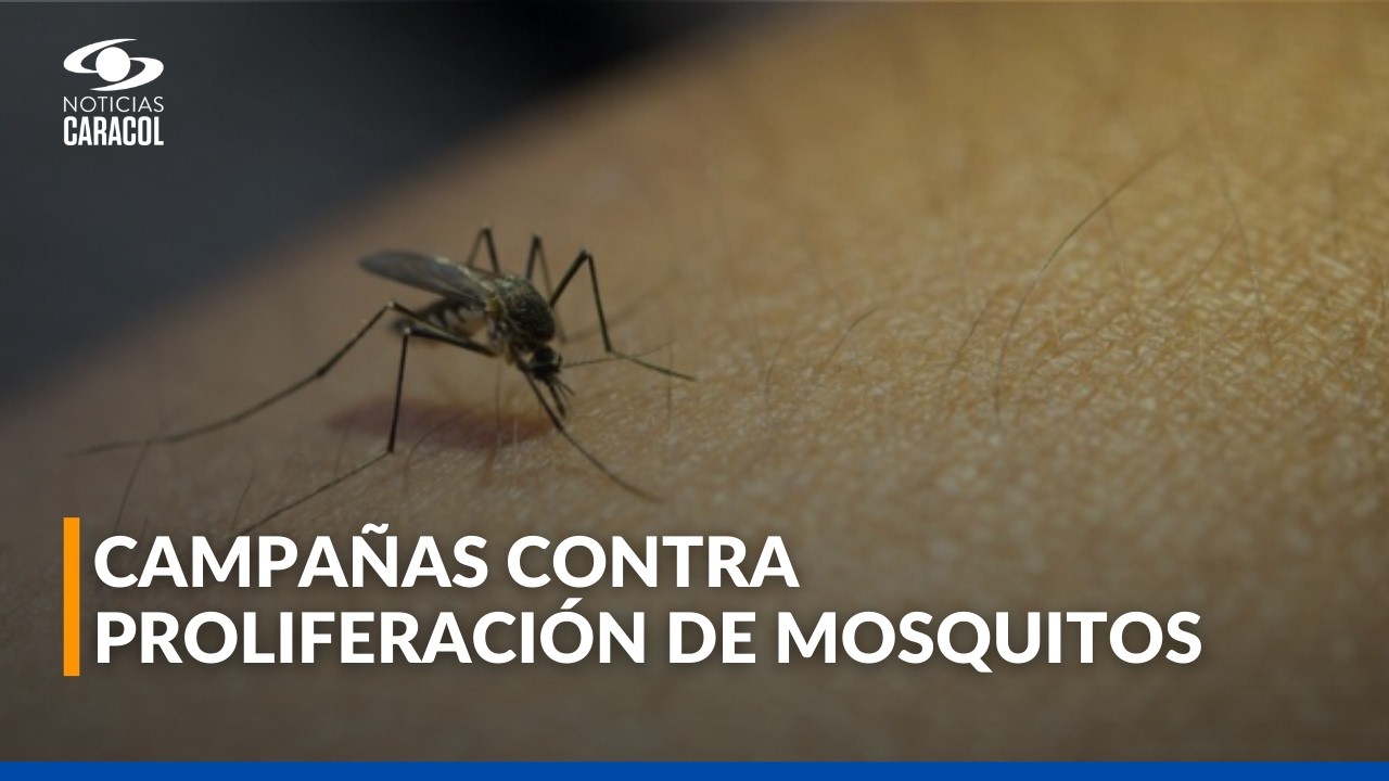 Montería activa plan sanitario y censo tras descenso del río Sinú por inundaciones