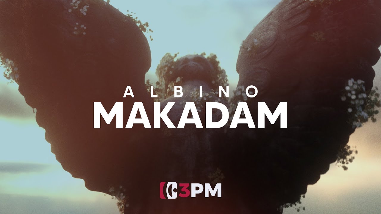 Albino - Makadam (Official Video)