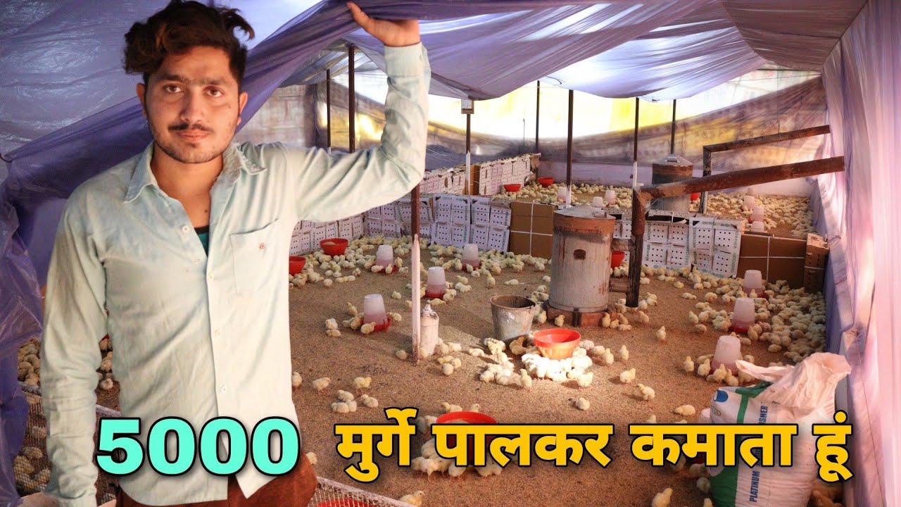 5000 chicks successful poultry farm in india