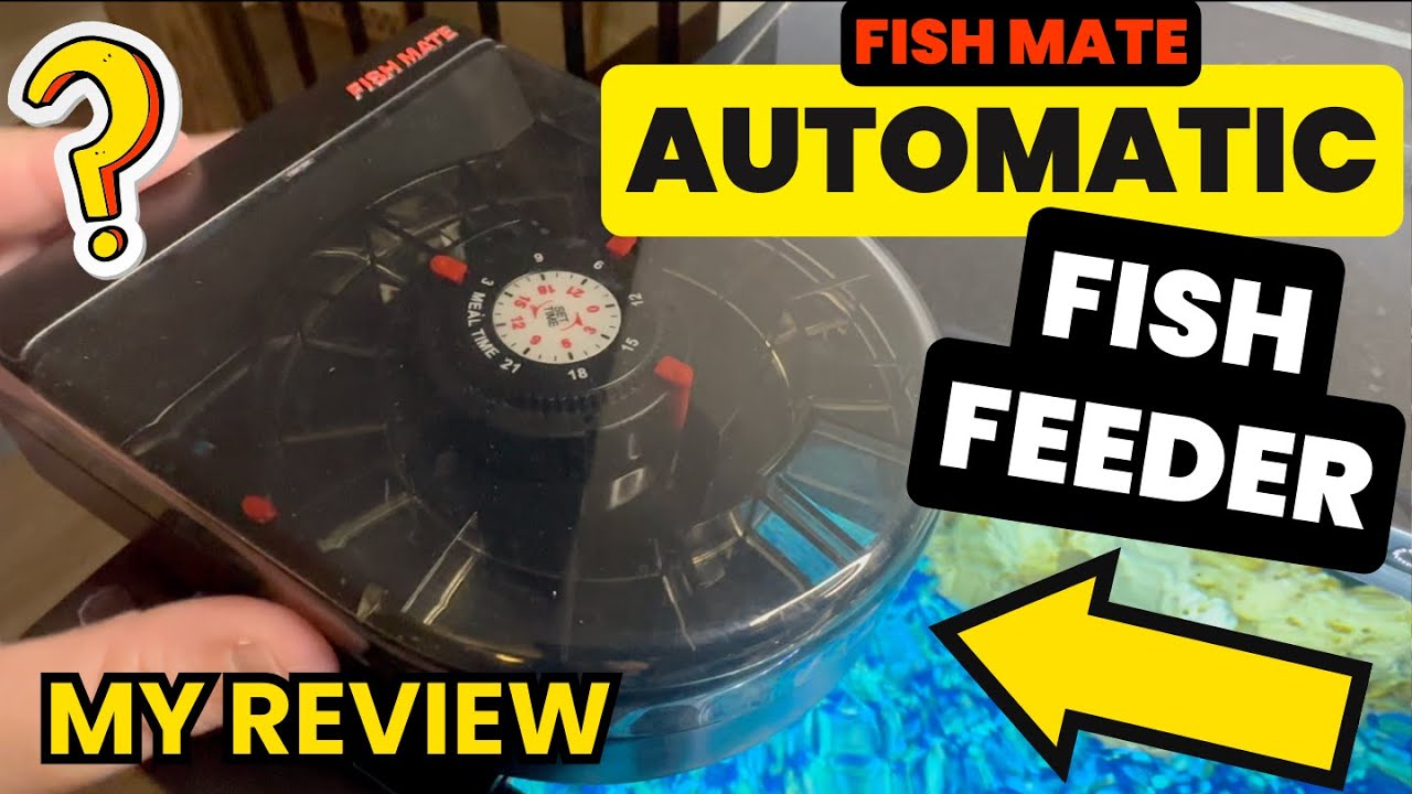 Does It Work? Fish Mate Automatic Fish Feeder 14 Day - Tiny Fish Fry - Feed When You're On Vacation
