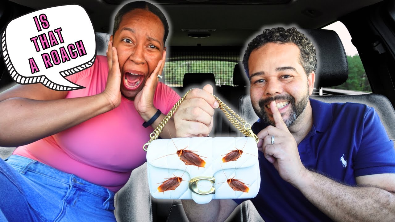 I PUT COCKROACHES IN MY WIFES BAG! SHE FREAKED OUT *REVENGE PRANK*