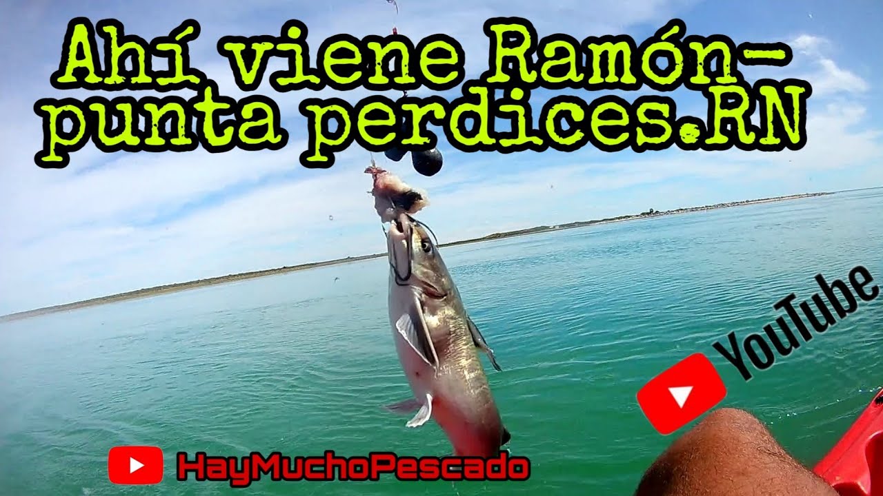 PUNTA PERDICES, PUNTA PERDIZ// RIO NEGRO// EL CARIBE DE LA PATAGONIA