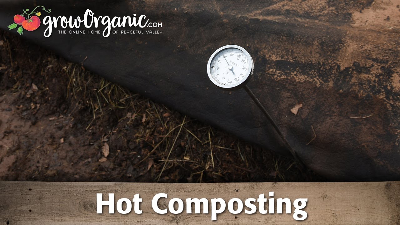 What Is Hot Composting and How To Use It In Your Garden