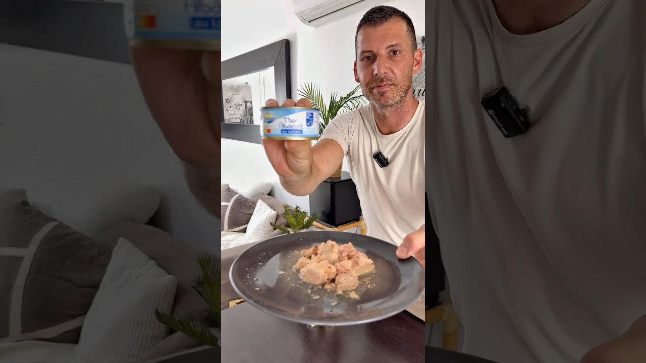 Les aliments a donner et a ne pas donner a votre chat ! #chat #cat #alimentation