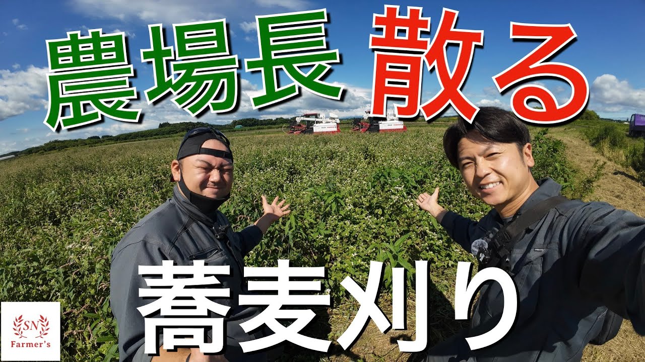 【神回！？】雑草に苦しむ蕎麦刈りの末。農場長やらかす！！ヤンマー　コンバイン