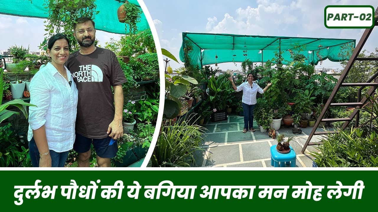 दुर्लभ पौधों की ये बगिया आपका मन मोह लेगी  🥰 Rare Plant Garden Tour 🪴 Part 2