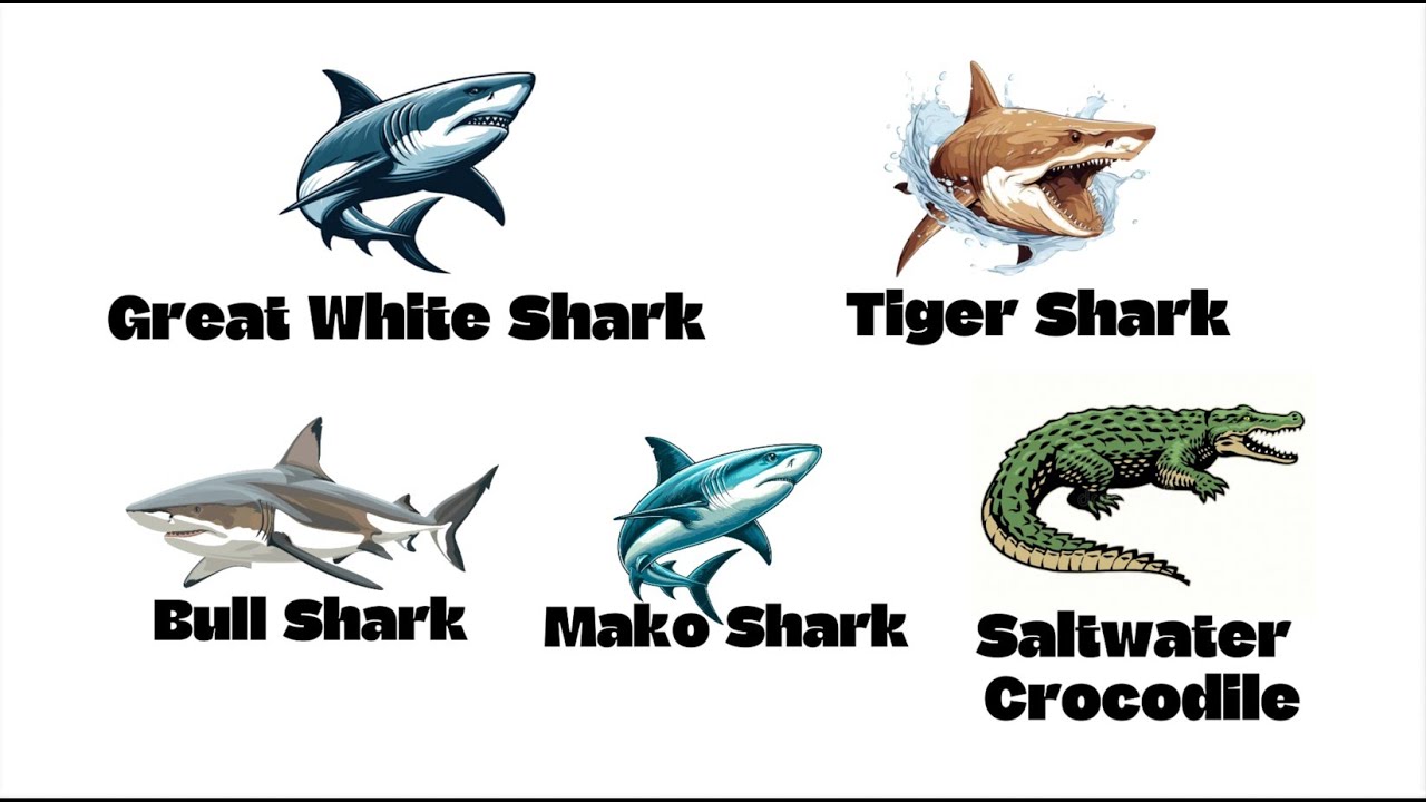 Every Sea PREDATOR Explained in 4 Minutes