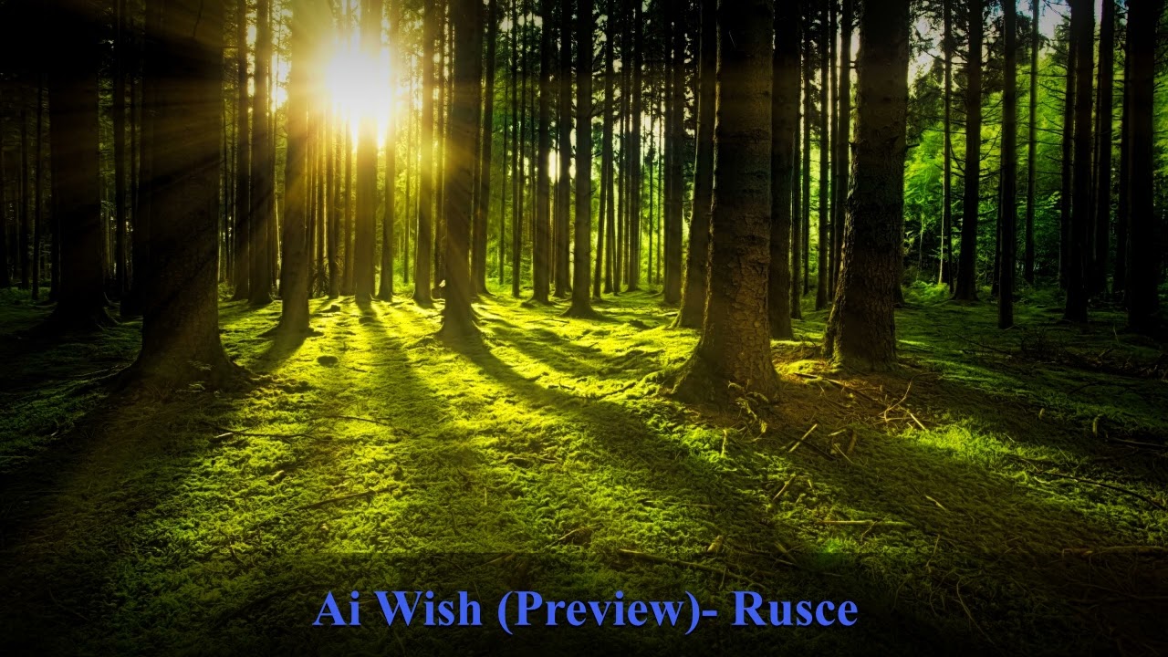 Ai Wish (Preview) - Rusce