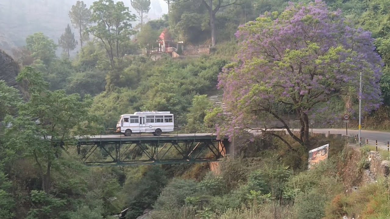उत्तराखंड की खूबसूरत वादियों के बीच सुहाना सफर ||बागेश्वर से अल्मोड़ा ||BAGESHWAR TO ALMORA ||