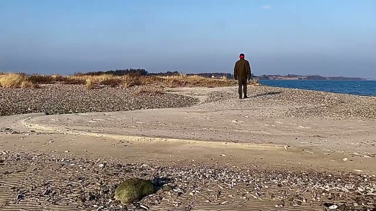 Denmark: A Sunny January Day At Jegindø                     19. January 2026