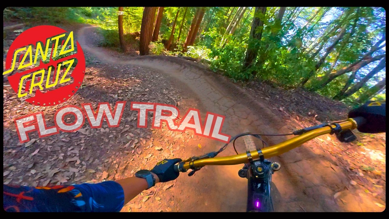 Следуйте за горной велосипедисткой Шин Куин по трассе Flow Trail в лесу Демо, Санта-Круз.