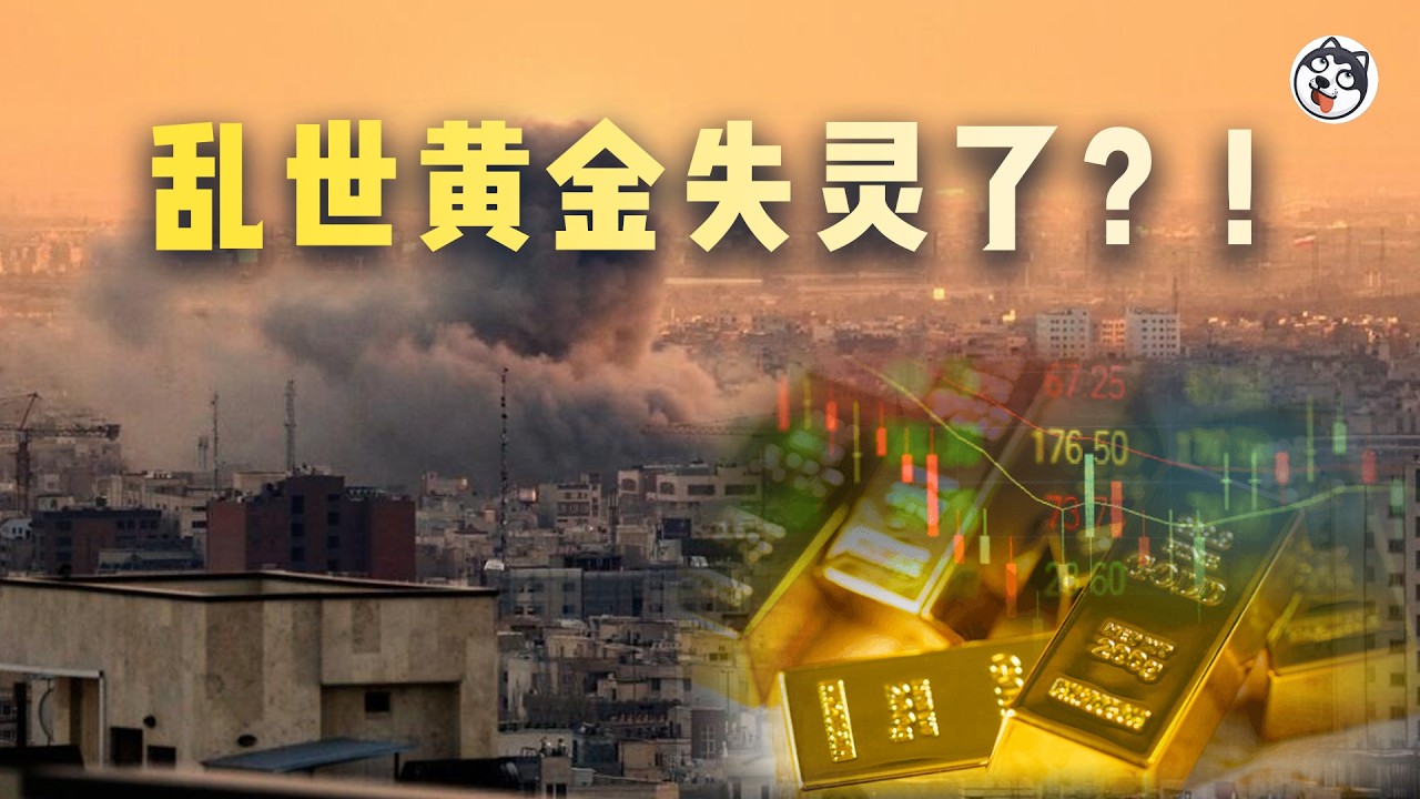 黃金暴跌20%真相揭秘！實際利率飆升2.05%碾壓避險溢價，CTA算法29分鐘砸穿訂單簿98%，摩根大通預測6300美元超級牛市，TIPS收益率領先大漲3個月，滯脹劇本啟動黃金將衝破萬元大關！
