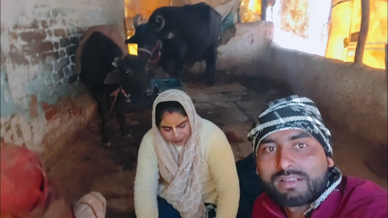 राजस्थानी गाँव का देसी स्वाद❤️🌹❤️