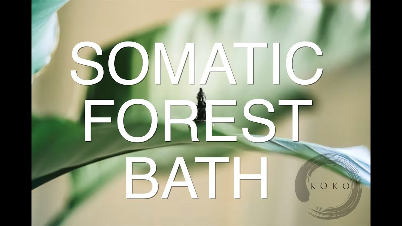 Grounding Somatic Forest Bath & Breathwork Meditation
