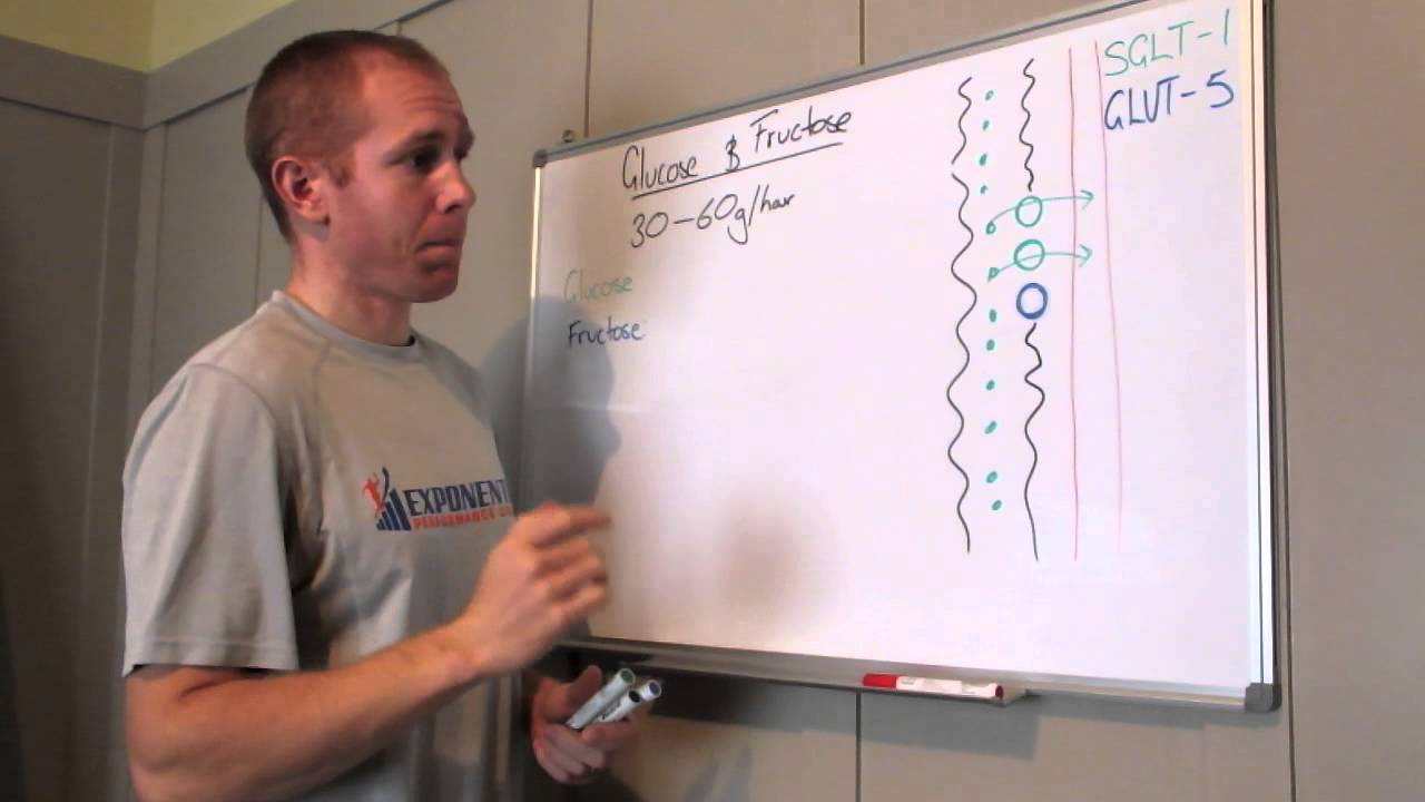 Optimise your carbohydrate absorption