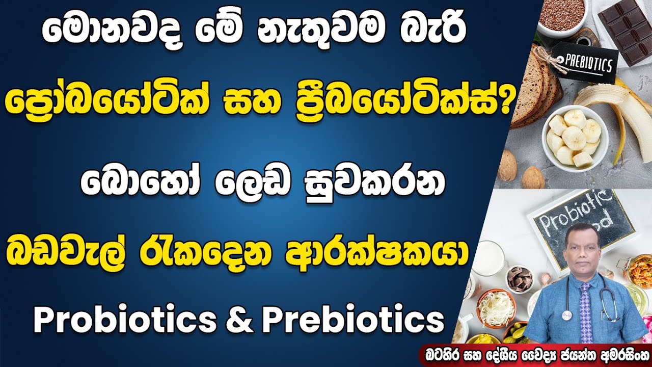 මොනවාද මේ ප්‍රෝබයෝටික් සහ ප්‍රීබයෝටික්ස්? ලෙඩ සුවකරන බඩවැල් රැකදෙන ආරක්ශකයා Probiotics & Prebiotics