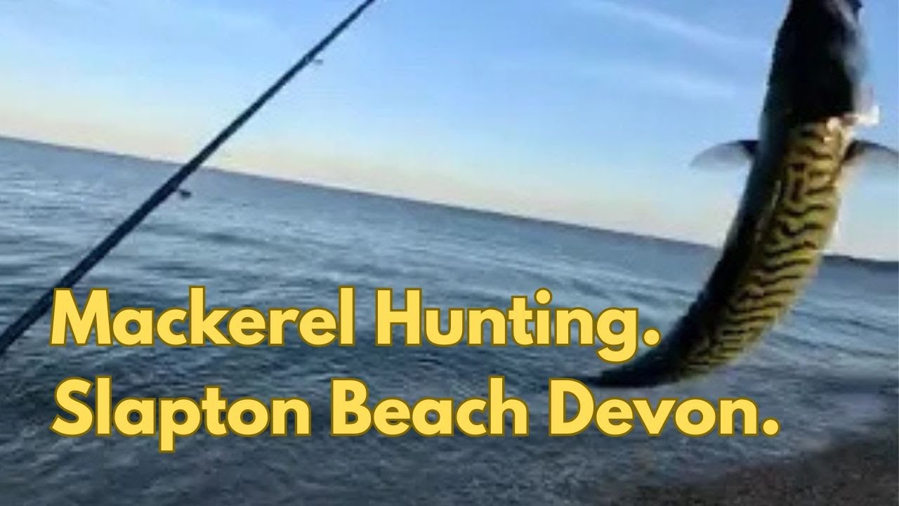 On the Hunt for Mackerel. Slapton Sands Devon.