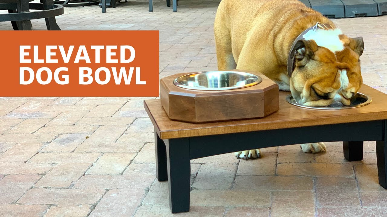 Elevated Dog Bowl - Woodworkers Fighting Cancer 2019