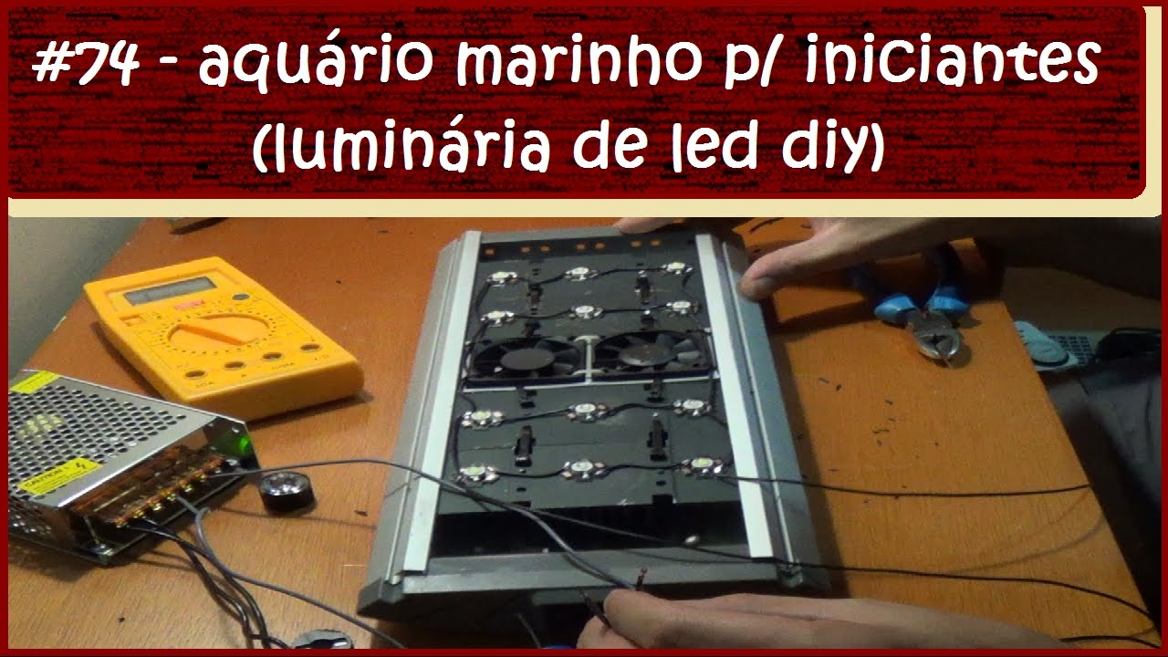 Aquário Marinho Para Iniciantes (Luminária de LED DIY)