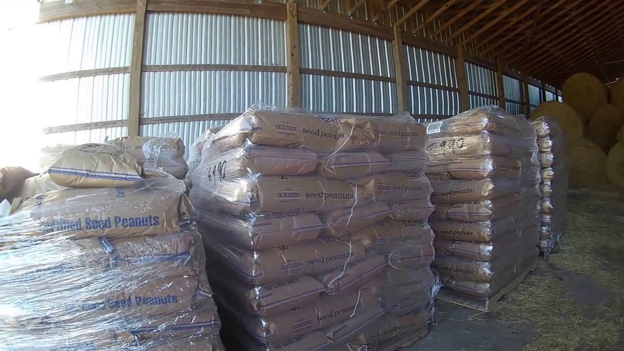 Seed delivery
