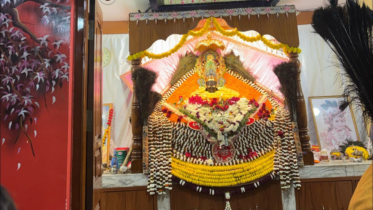 Khatu shyam darshan 🙏