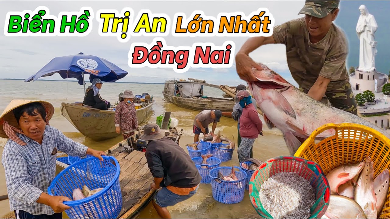 Bất Ngờ Hồ Nước Ngọt Lớn Nhất Đồng Nai Không Khác Gì Ngoài Biển | Hồ Trị An