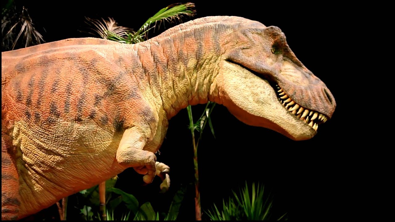 Dinosaurs Alive