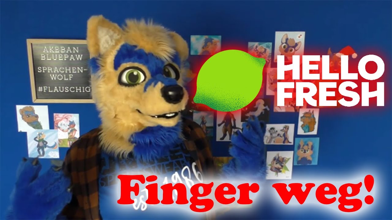 Kauft nicht bei HELLO FRESH | Sprachenwolf