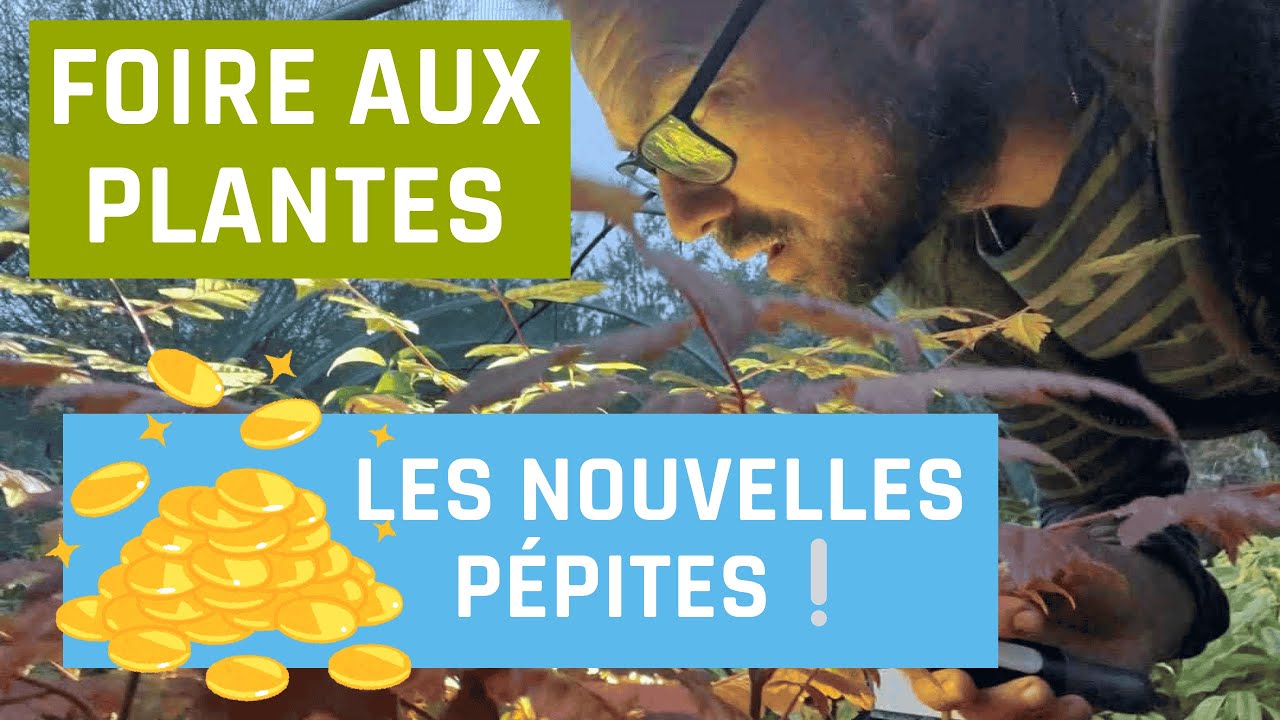 Foire aux plantes : Les nouvelles p&eacute;pites