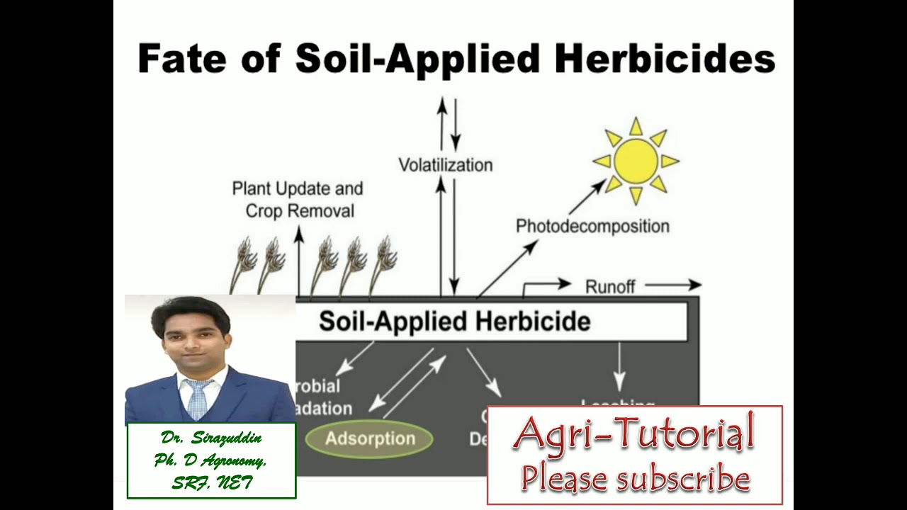 Fate of soil applied herbicides in 20 minutes