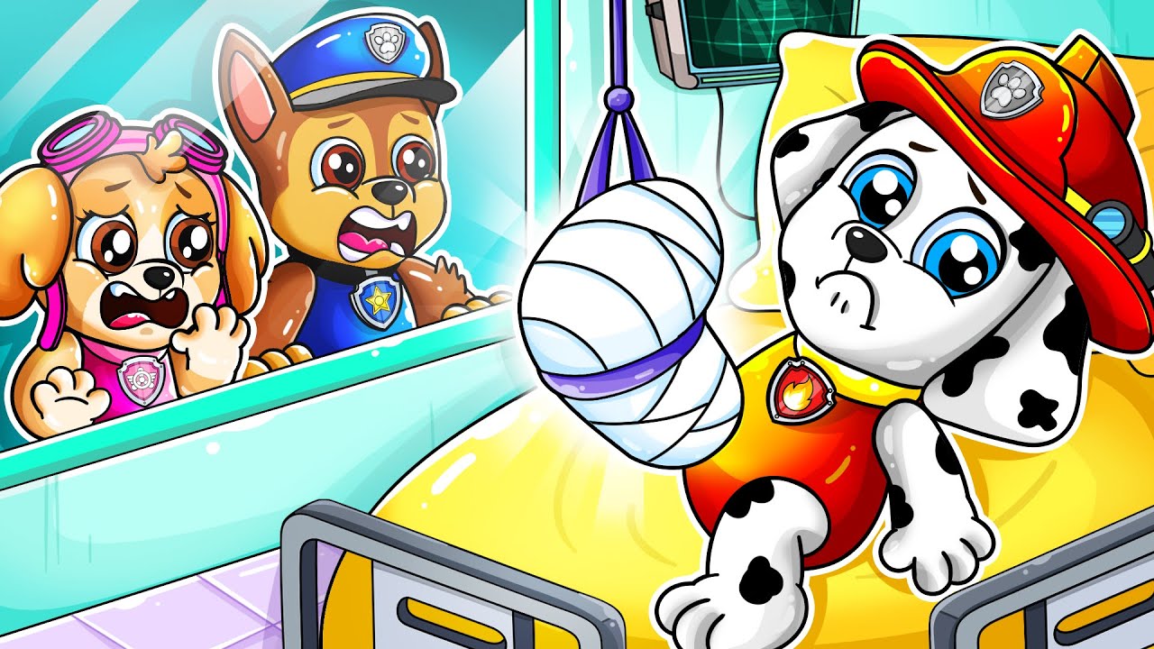 Marshall in the Hospital! Chase & Skye Shocked! | Paw Patrol Ultimate Rescue | Rainbow 3