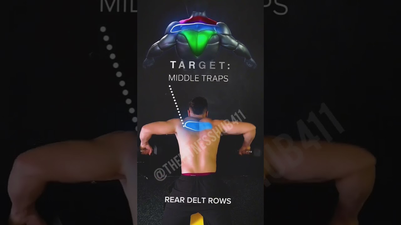 Target upper traps, lower traps, middle traps !! by dumbbells workout!!