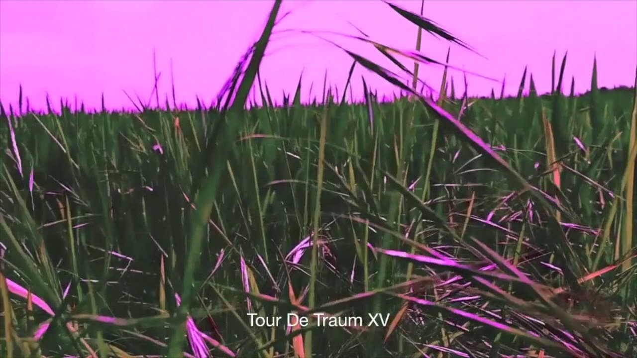 Tour De Traum XV - Continuous Mix 1 by Riley Reinhold  (Traum CDDig 42)