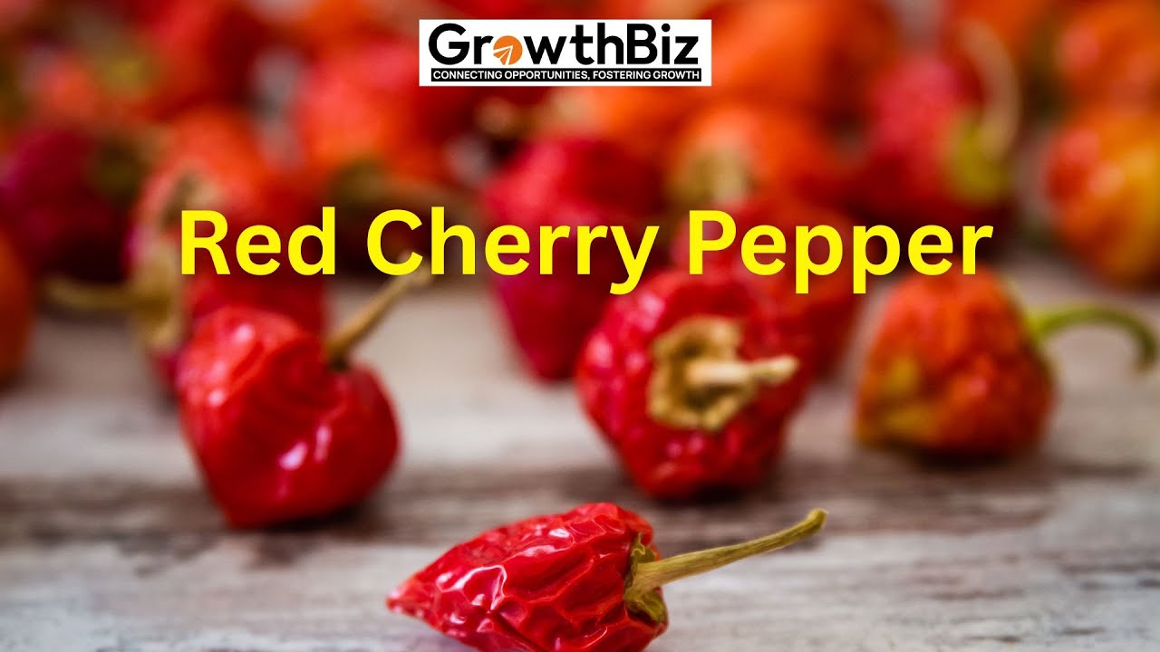 Red Cherry Pepper|| Chilli Pepper || GrowthBiz presents Red Cherry Pepper exploration