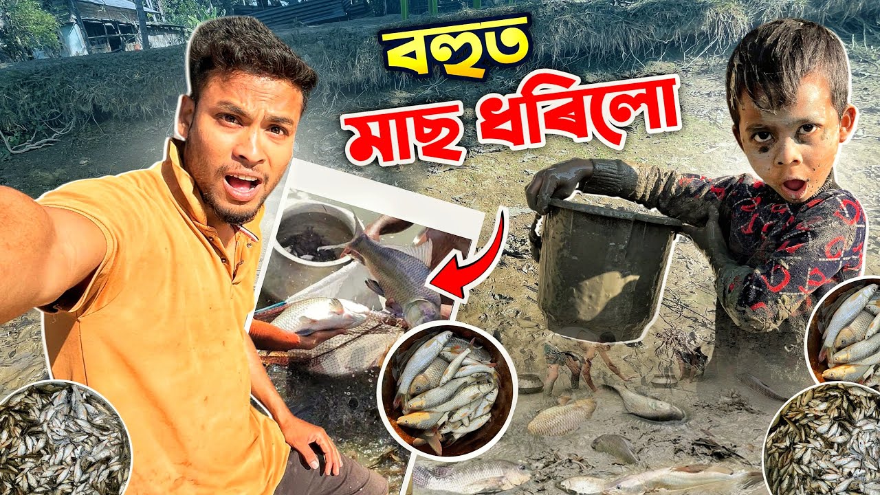 শেষ বাৰৰ বাবে আমাৰ পুখুৰীত মাছ ধৰিলো..😢
