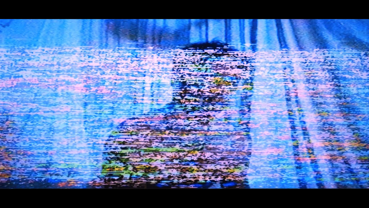 Nico Miseria - LA LEY INNATA