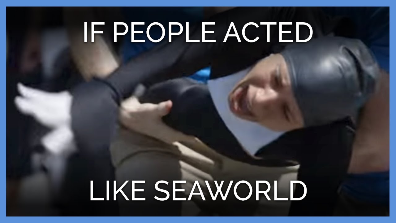 If People Acted Like SeaWorld