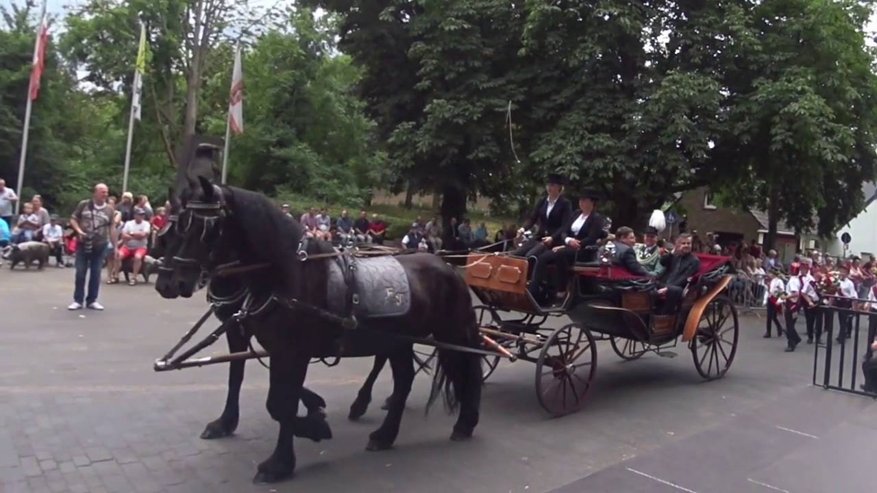 Schützenfest in Zons - Aufmarsch und Abnahme des Regiments 2016