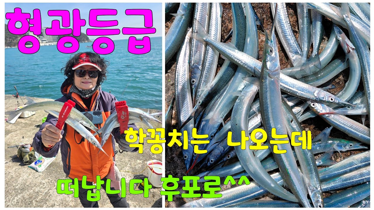 형광등급   학꽁치는  나오는데 떠납니다 후포로 ^^
