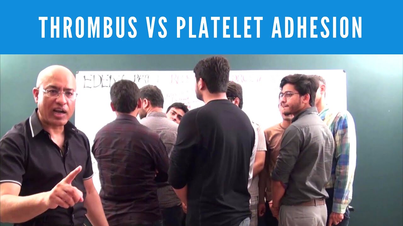 Thrombus vs Platelet Adhesion vs Platelet Aggregation vs Platelet Plug
