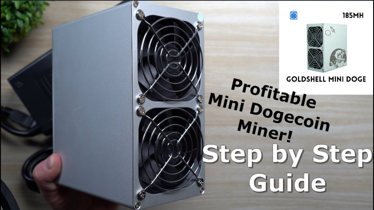 Mini Dogecoin + Litecoin Miner | Affordable & Profitable - Step By Step Setup