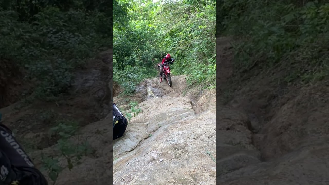 Kekuatan crf 230 