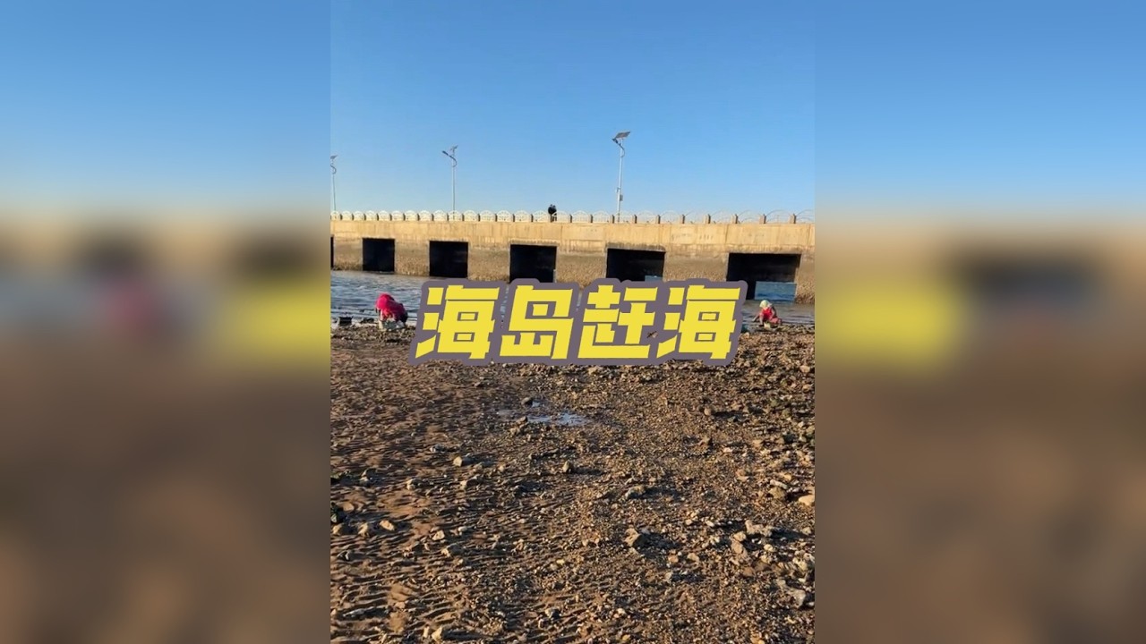 和我一起体验在海岛赶海的快乐吧！